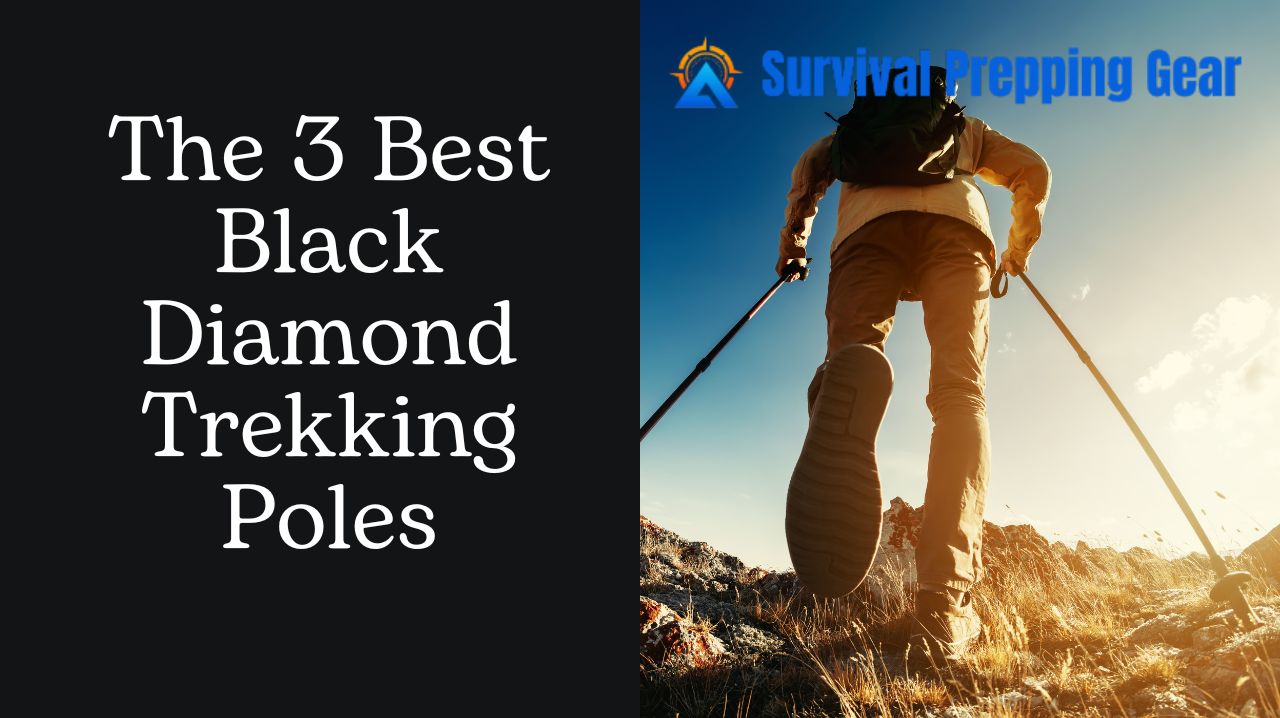 Black Diamond Trekking Poles
